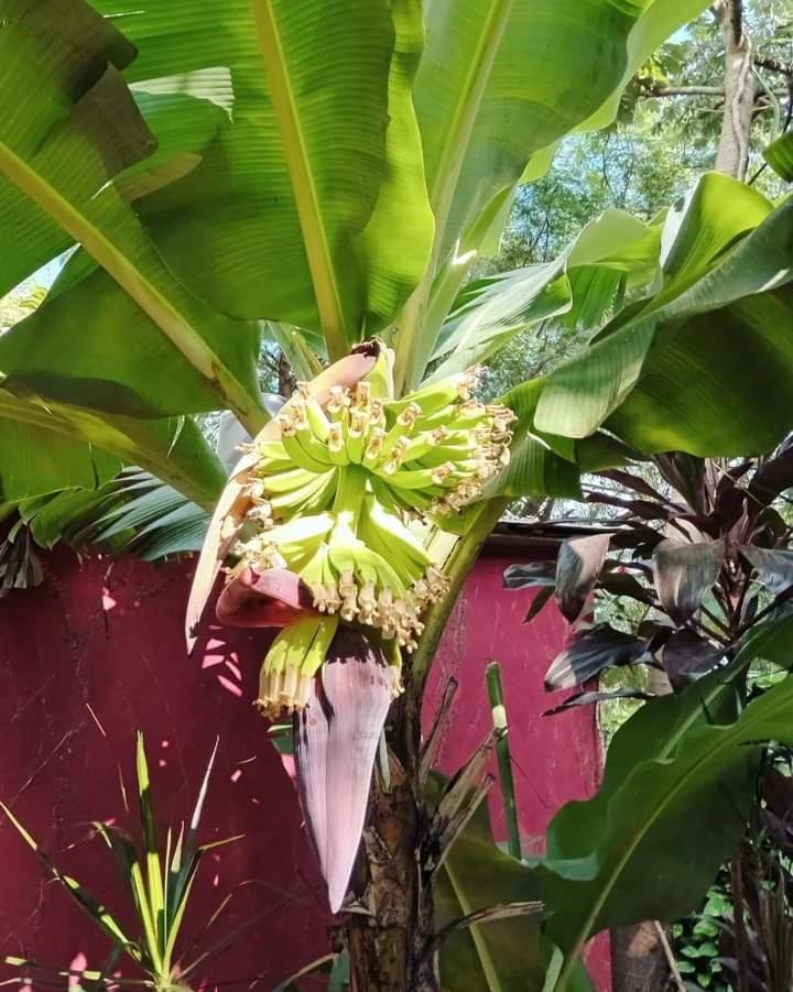 Maria Iguazu Puerto Iguazu