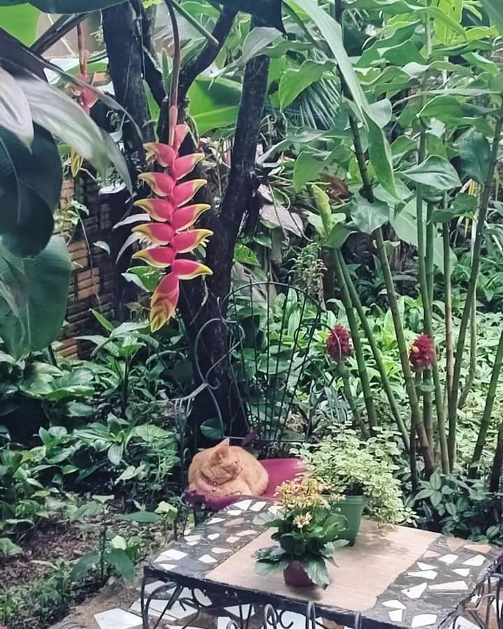 Maria Iguazu * Puerto Iguazu