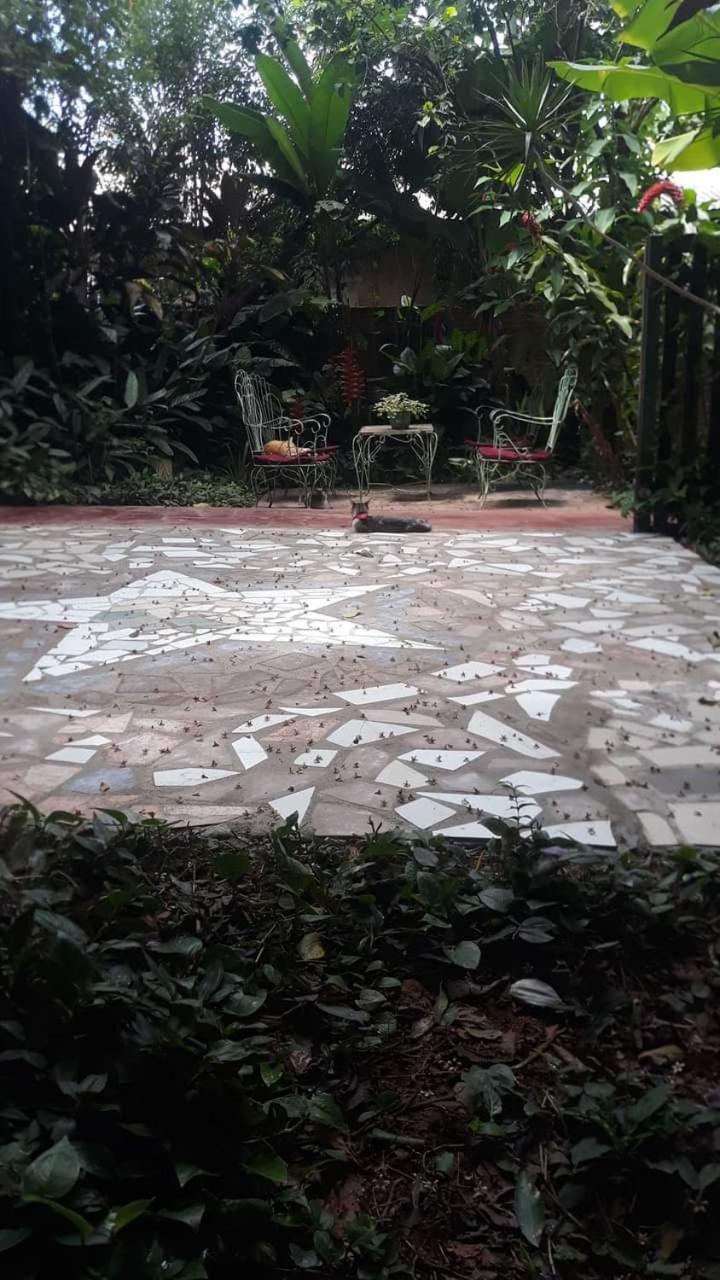 Maria Iguazu