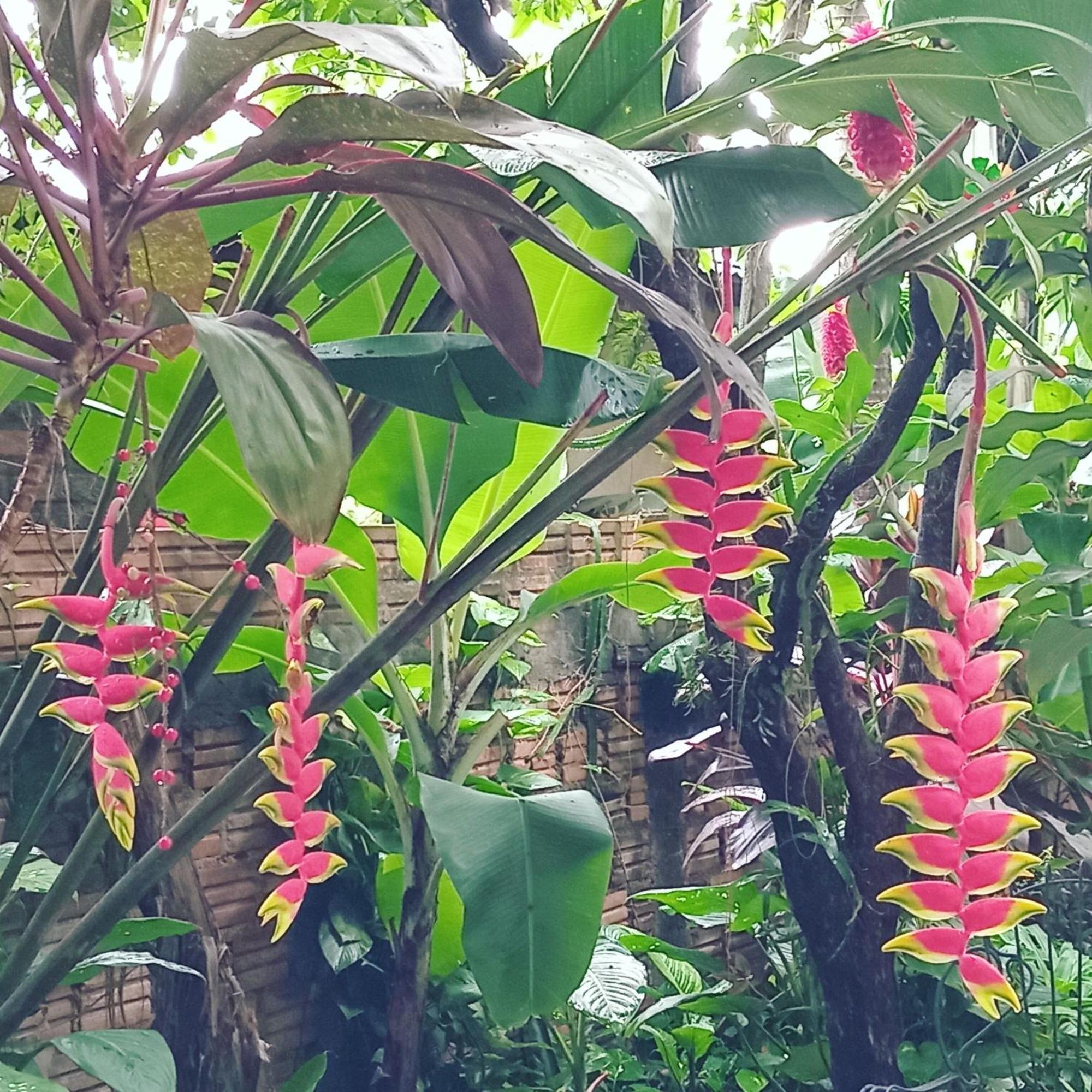 Maria Iguazu Apartment
