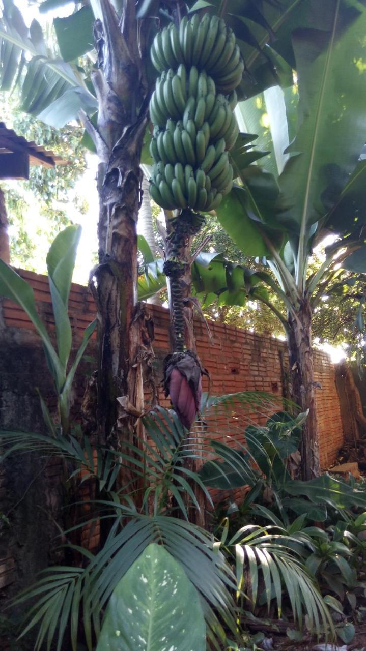 Apartment Maria Iguazu