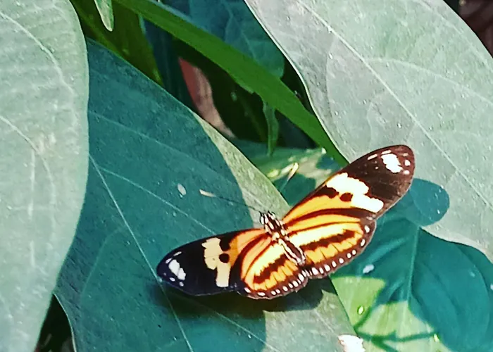 Posada María Iguazú