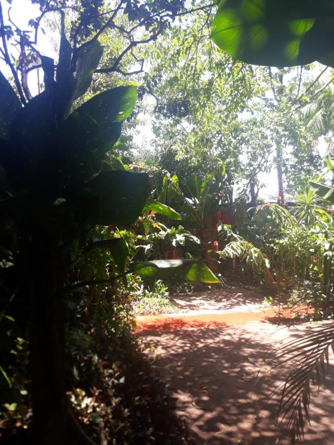 María Iguazú Apartamento *