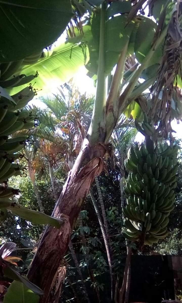 Apartamento María Iguazú Puerto Iguazú